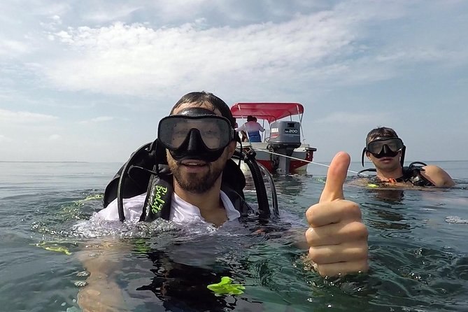 BUCEO — Galería 1