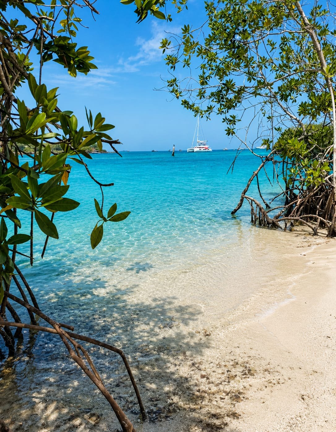 BETWEEN ISLAND — Galería 1